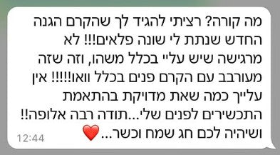 ביקורת לקוחה
