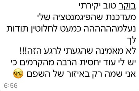 ביקורת לקוחה